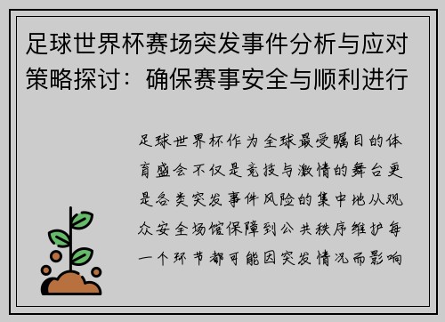 足球世界杯赛场突发事件分析与应对策略探讨：确保赛事安全与顺利进行的多重保障措施
