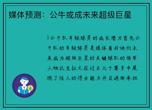 媒体预测：公牛或成未来超级巨星